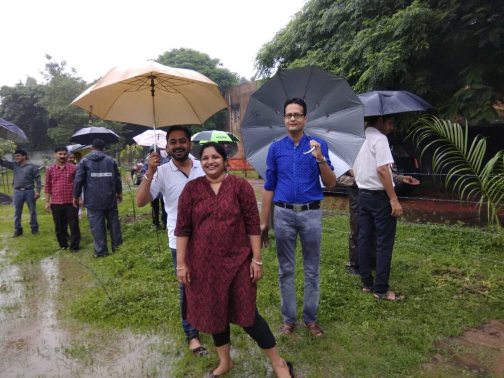 Plantation in college campus 4