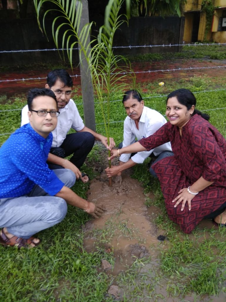 Plantation in college campus 5