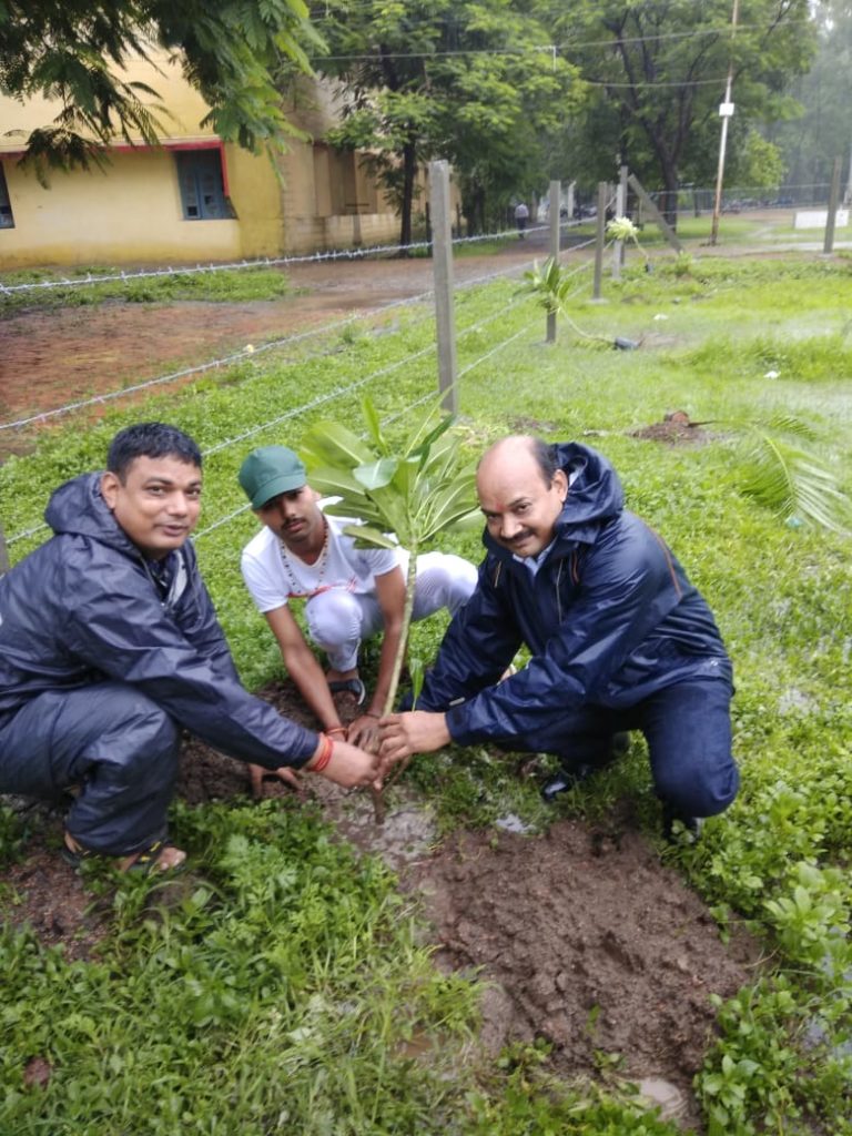 Plantation in college campus 6